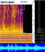 spectrograph for the examination of authenticity of audio clip