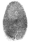 fingerprint mpression on paper by ink method clearly showing finger pattern